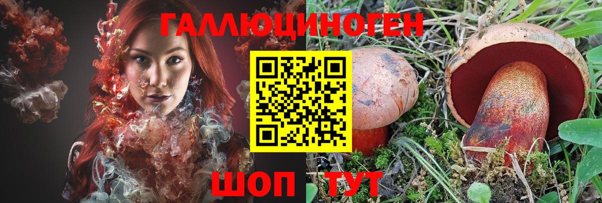 Псилоцибиновые грибы Magic Shrooms  Вход с VPN  Галлюциногенные грибы мухоморы  Прохладный 
